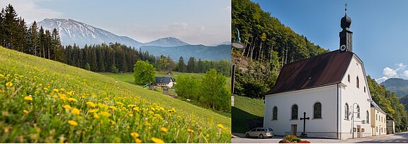 Headerbild