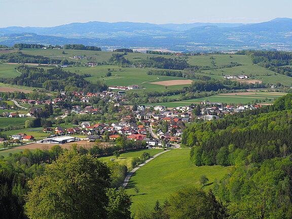 Headerbild